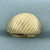 Striped Dome Shrimp Ring in 10k Yellow Gold