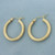 Tube Hoop Earrings in 14k Yellow Gold