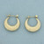 Shrimp Ribbed Hoop Earrings in 14k Yellow Gold