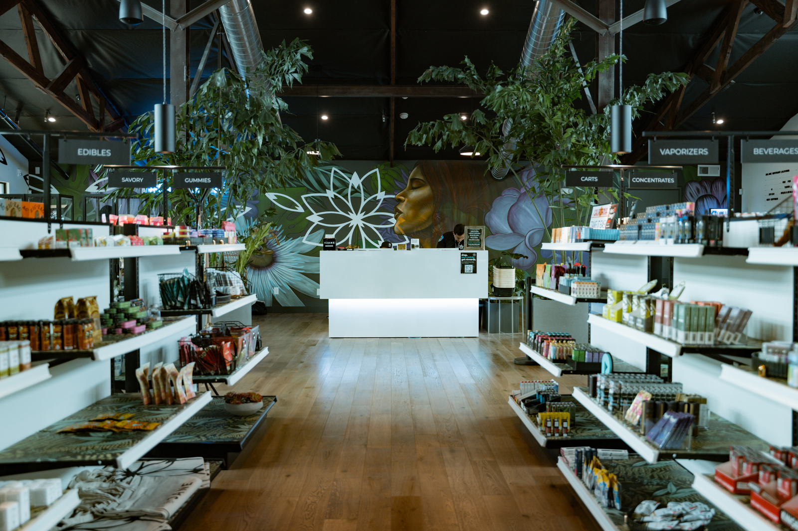 Smoke Shop Design