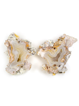 Agatized Coral Pair