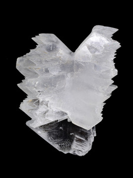 Fish Tail Selenite