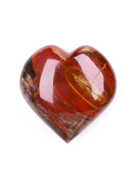 Petrified Wood Heart