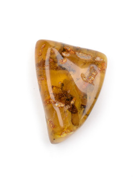 Amber with Insects