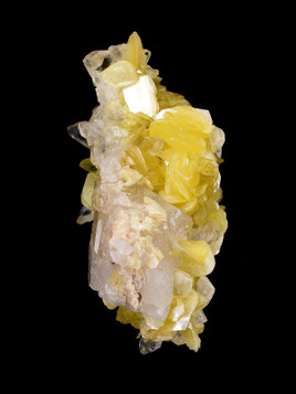 Golden Muscovite Mica on Quartz