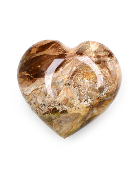 Petrified Wood Heart