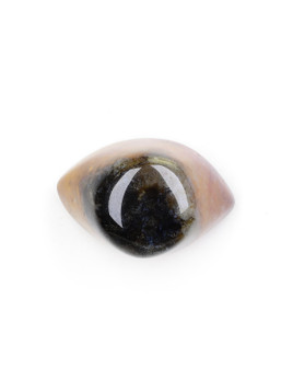 Agate Shiva Eye