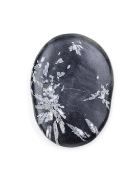 Chrysanthemum Stone