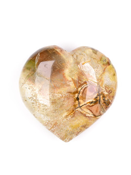 Petrified Wood Heart