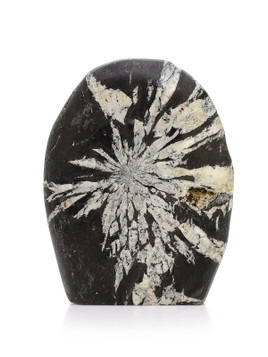 Chrysanthemum Stone