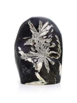Minerals - Chrysanthemum Stone - Exquisite Crystals