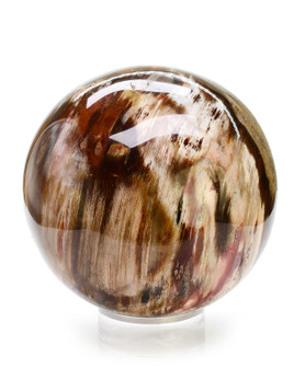 Petrified Wood Sphere