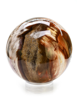 Petrified Wood Sphere