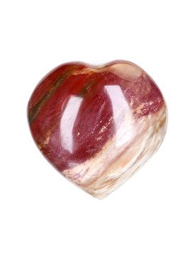 Petrified Wood Heart