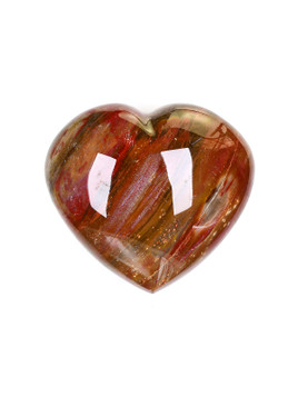 Petrified Wood Heart