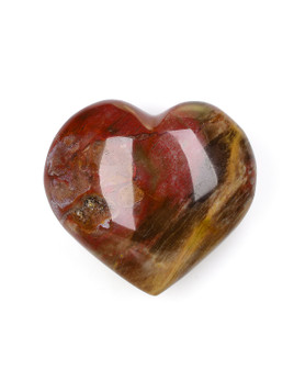 Petrified Wood Heart