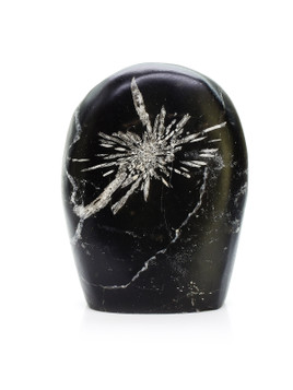 Minerals - Chrysanthemum Stone - Exquisite Crystals