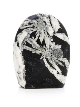 Minerals - Chrysanthemum Stone - Exquisite Crystals