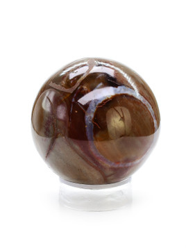 Petrified Wood Sphere