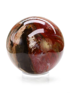 Petrified Wood Sphere