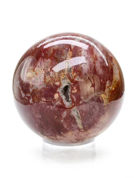 Petrified Wood Sphere