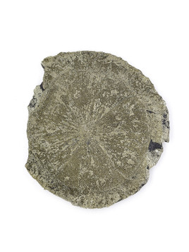 Pyrite Sun