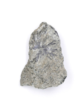 Holmquisite