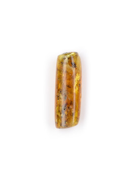 Amber with Insects
