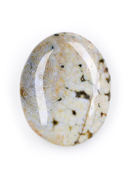 Orbicular Jasper Palm Stone