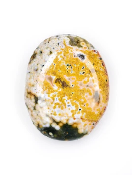 Orbicular Jasper Palm Stone