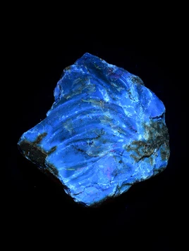 Blue Amber Rough