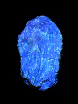 Blue Amber Rough