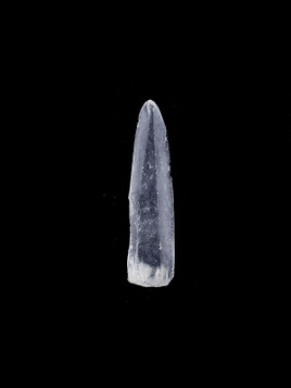 Lemurian Seed Quartz