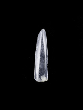 Lemurian Seed Quartz