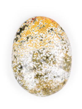 Orbicular Jasper Palm Stone
