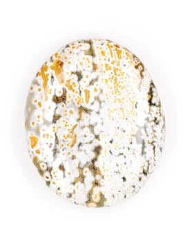Orbicular Jasper Palm Stone