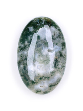 Moss Agate Palm Stone