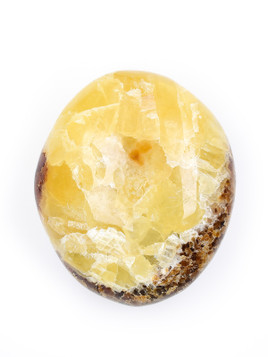 Septarian Palm Stone