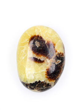 Septarian Palm Stone