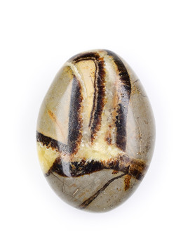 Septarian Palm Stone
