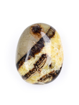 Septarian Palm Stone
