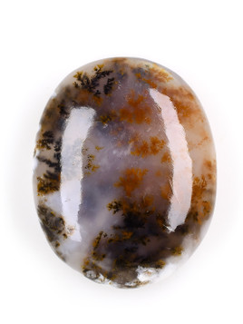 Dendritic Agate Palm Stone