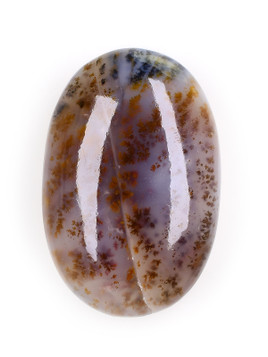 Dendritic Agate Palm Stone