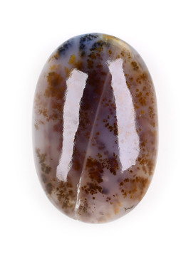 Dendritic Agate Palm Stone
