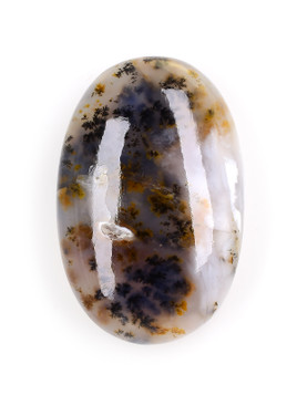 Dendritic Agate Palm Stone