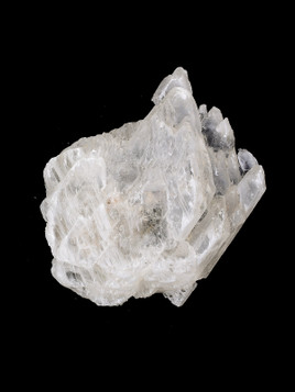 Fish Tail Selenite