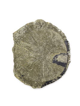 Pyrite Sun