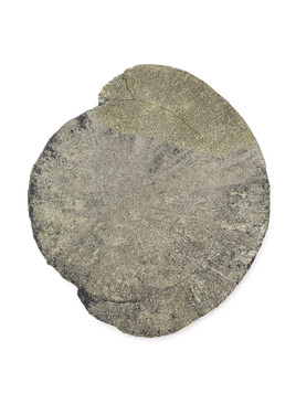 Pyrite Sun