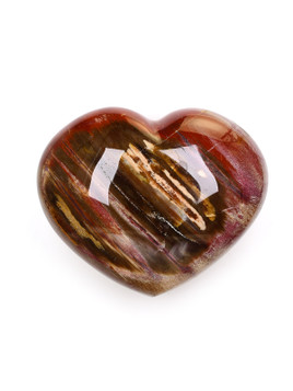 Petrified Wood Heart
