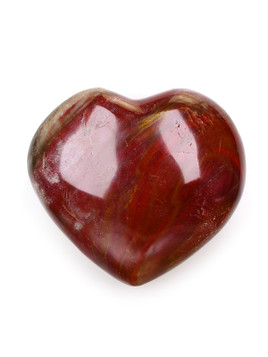 Petrified Wood Heart